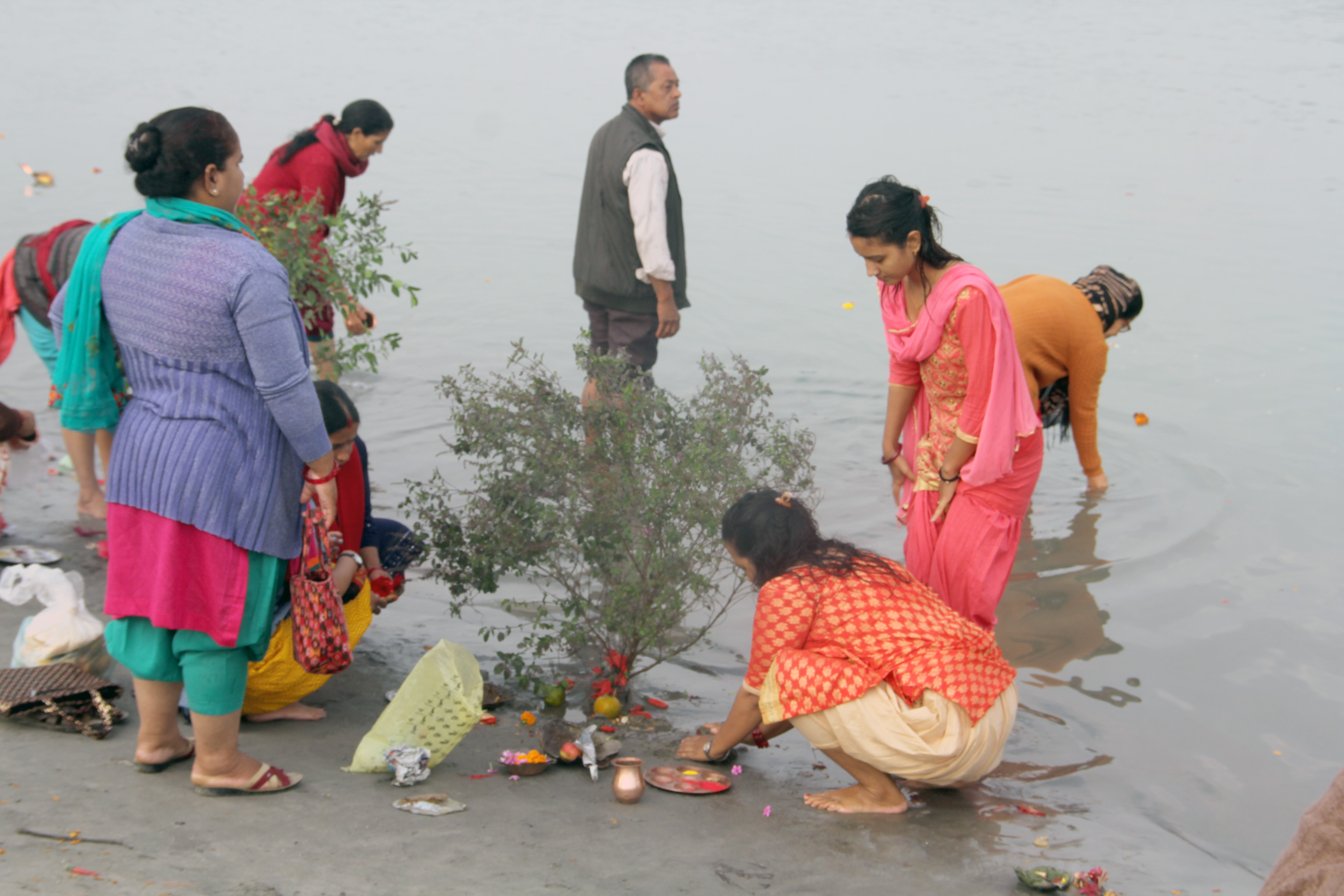 यसरी मनायो हरिबोधिनी एकादशी