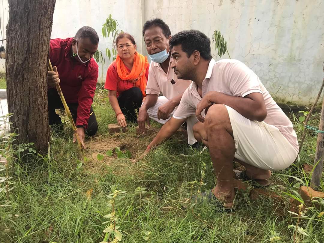 रोटरी क्लब लाहानद्वारा क्यान्सर केयर सेन्टरमा वृक्षारोपण