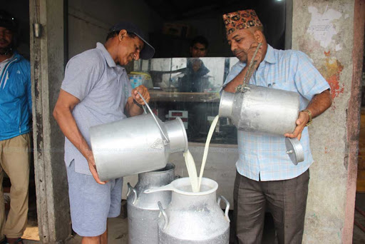 बन्दाबन्दीको असर ः दुग्धजन्य पदार्थको कारोबारमा ह्रास