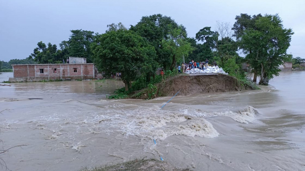 कोसीको तटबन्ध भत्कियो : एक हजार परिवार विस्थापित