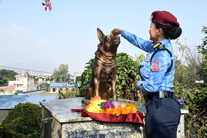 अपराध अनुसन्धानमा उत्कृष्टकार्य गर्ने कुकुर पुरस्कृत