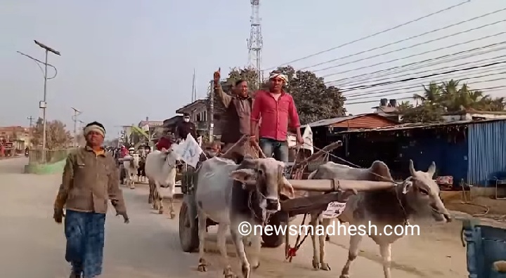 किसान आन्दोलनलाई निरन्तरता दिदै जनमतले निकाले बयलगाडा जुलुस