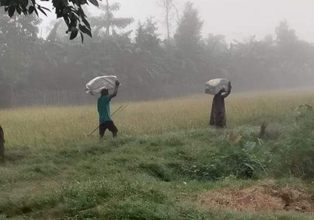 रौतहटको विभिन्न नाकाबाट तस्करी हुँदै , चौकीका इन्चार्ज लाइन दिए तस्करलाई