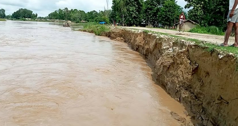 नेपाल–भारत सीमाको १०५ नम्बर ‘पिलर’ कटानको उच्च जोखिममा