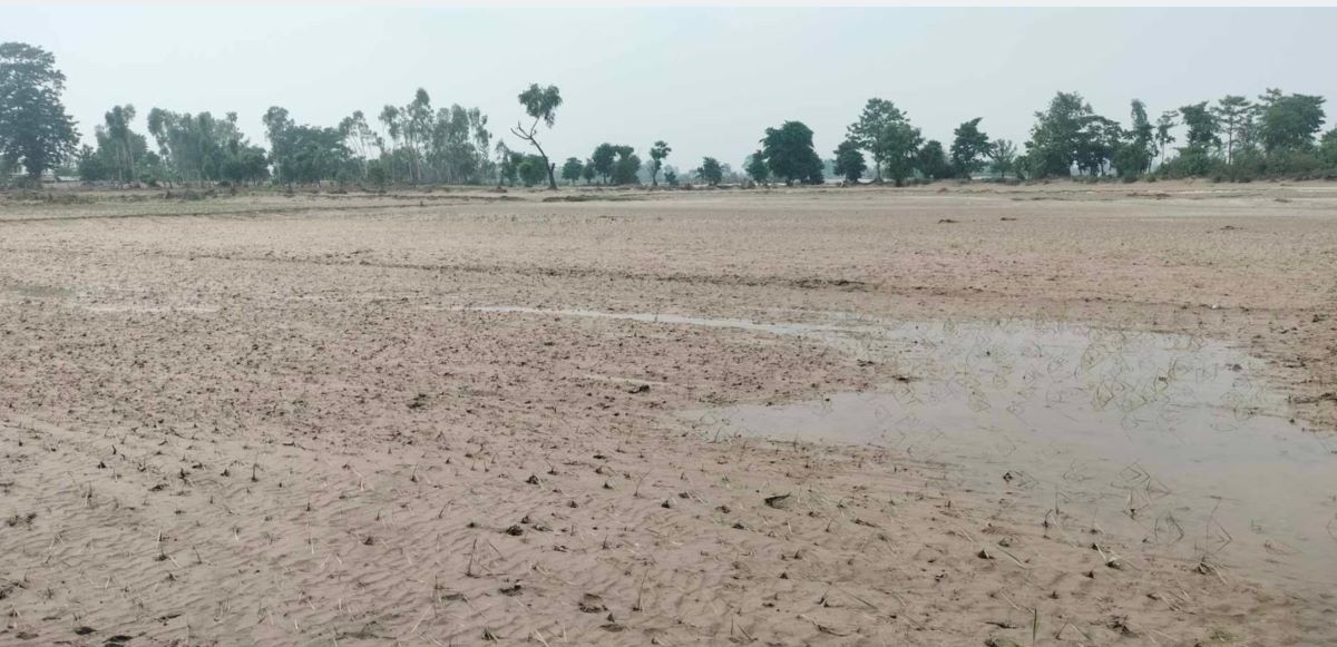 सर्लाहीमा खेतीयोग्य जमिन मासिदै